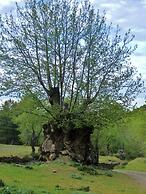 Labella Hostal Restaurante