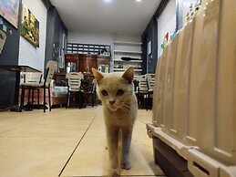 Taksim City ivy Hostel