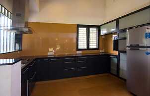 Tranquil Woods By Jade