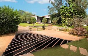 Tranquil Woods By Jade