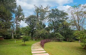 Tranquil Woods By Jade