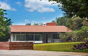 Tranquil Woods By Jade