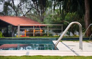 Tranquil Woods By Jade