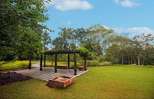 Tranquil Woods By Jade