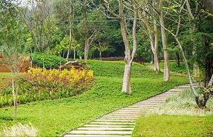 Tranquil Woods By Jade