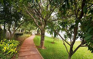 Tranquil Woods By Jade