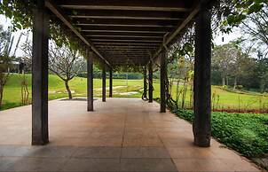 Tranquil Woods By Jade