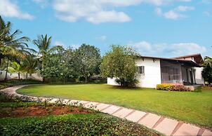 Tranquil Woods By Jade