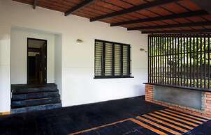 Tranquil Woods By Jade