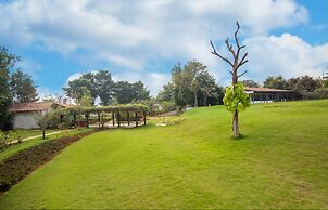 Tranquil Woods By Jade