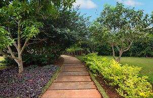 Tranquil Woods By Jade