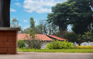 Tranquil Woods By Jade