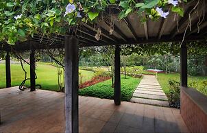 Tranquil Woods By Jade