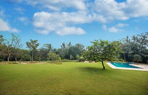 Tranquil Woods By Jade