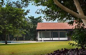 Tranquil Woods By Jade