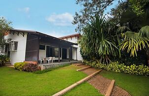 Tranquil Woods By Jade