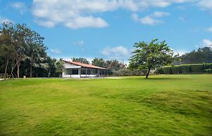 Tranquil Woods By Jade