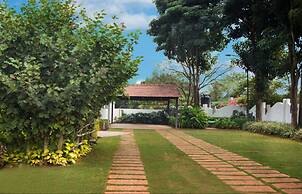 Tranquil Woods By Jade