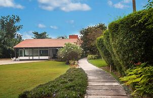 Tranquil Woods By Jade