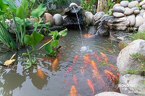 Homestay Songngu Pisces
