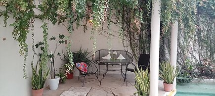 Pecari Bed and Breakfast