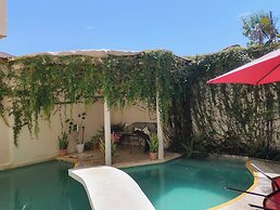 Pecari Bed and Breakfast