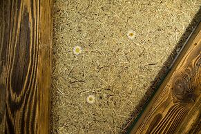 Le Refuge de La Traye