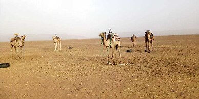 Bivouac Bader Monika Tamegroute