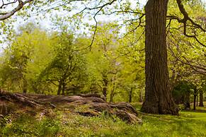 Pied-A-Terre Mont-Royal - Hostel