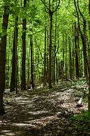 Pied-A-Terre Mont-Royal - Hostel