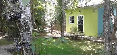 Green Jungle Hotel y Restaurante