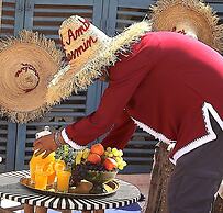 Riad Ambre et Jasmin