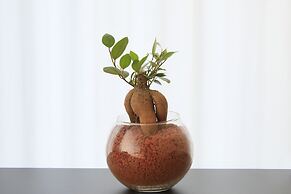 Quintessa Hotel Fukuoka Hakata Relax&Sleep