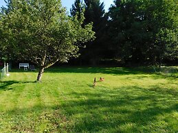 Ferienapartments Ida