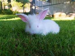 Agriturismo Sa Tanca