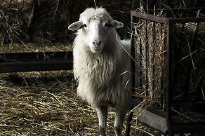 Agriturismo Sa Tanca