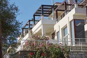 Olivia Sports and Sea