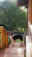 Cabañas La Naciente