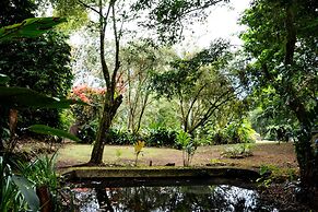 Cabañas La Naciente