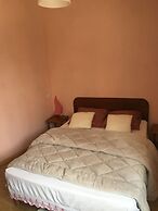 Le Palmyre Soleil de l'Amazonie