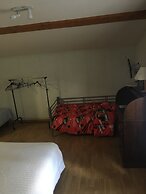 Le Palmyre Soleil de l'Amazonie