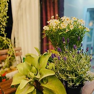 Haiphong Backpacker Hostel