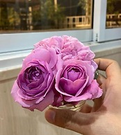 Haiphong Backpacker Hostel