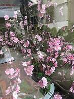 Haiphong Backpacker Hostel