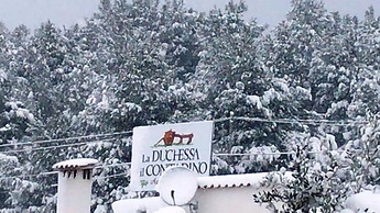 Agriturismo La Duchessa e il Contadino