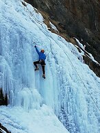 Gite - Auberge Le Chamois