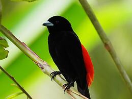 Drake Bay Sunset Lodge