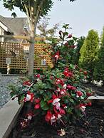 Sunny Island by White Rock B&B