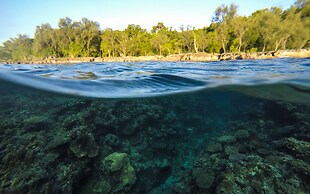 Divi's Boutique Retreat