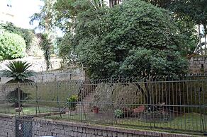 Napoliseason Rooms and Breakfast